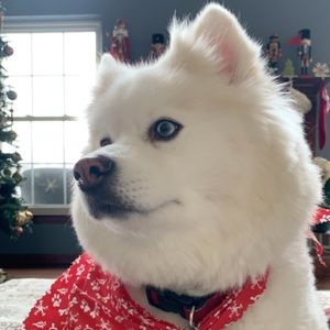 Meet your Posher, Norm